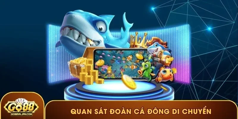 Quan sát đoàn cá đông di chuyển
