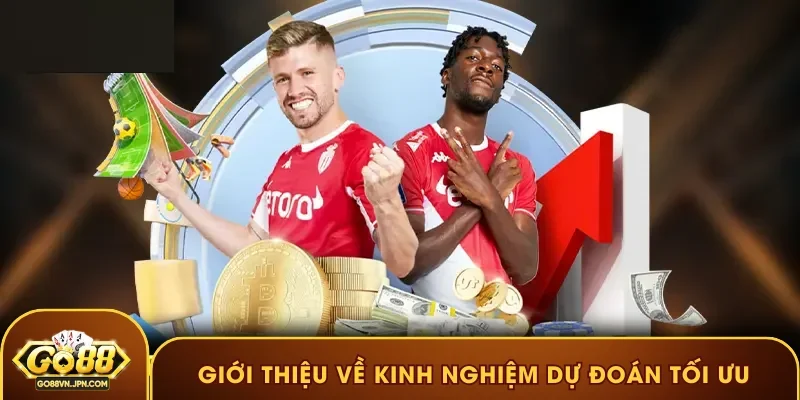 Giới thiệu về kinh nghiệm dự đoán tối ưu